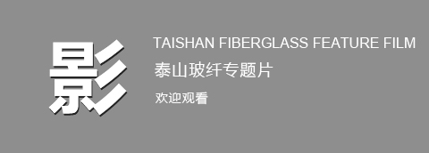 蘇州安踏腳手架工程有限公司